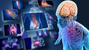Anatomy & Physiology (A&P Level 3)